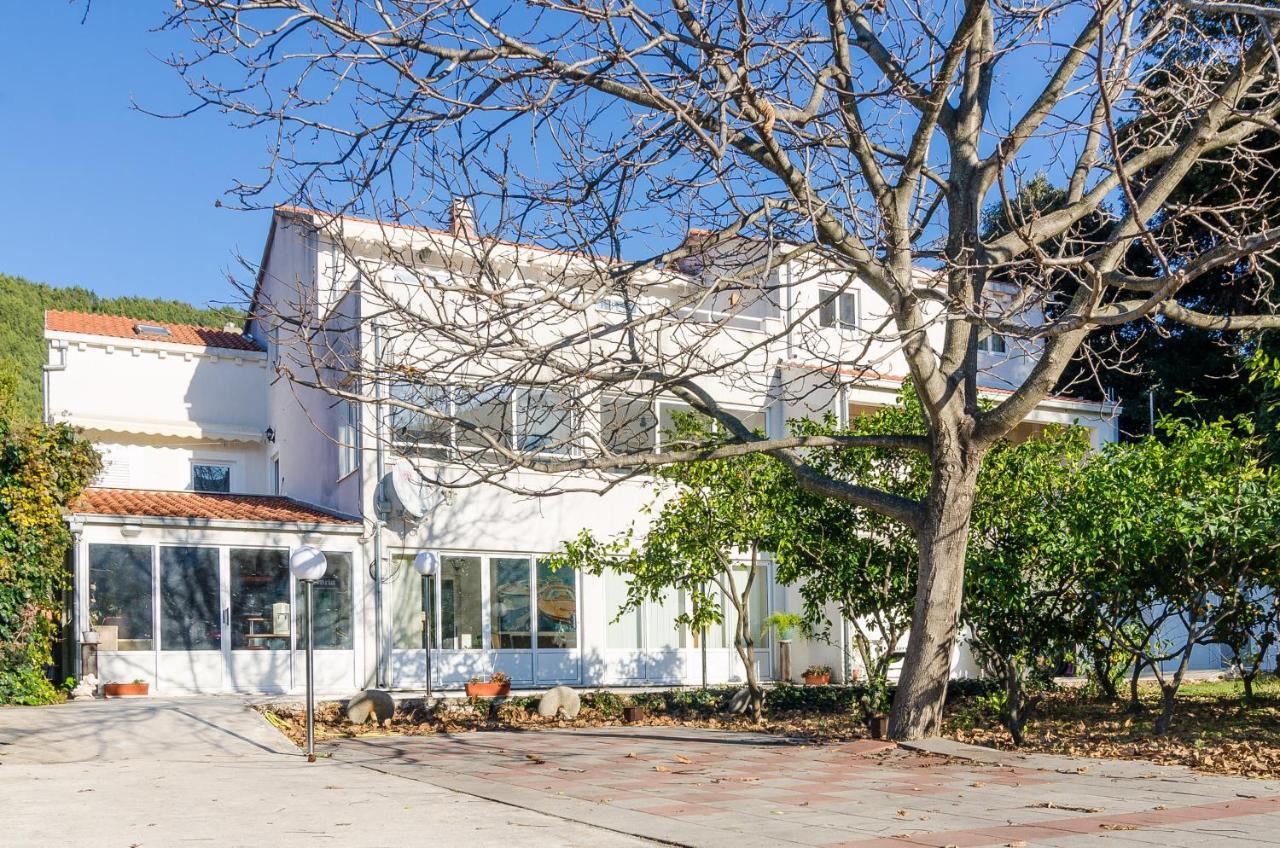 Apartments With A Parking Space Zuljana, Peljesac - 4574 מראה חיצוני תמונה