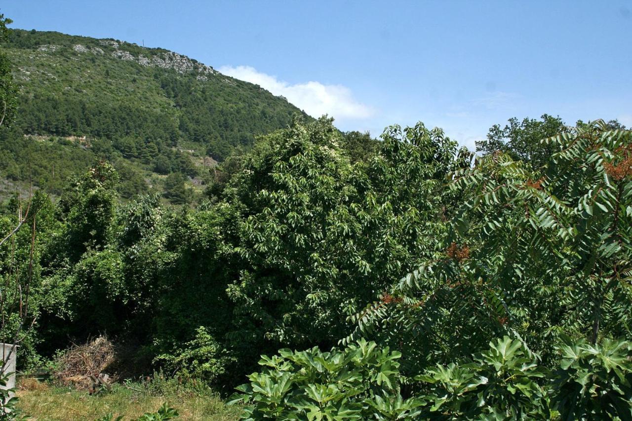 Apartments With A Parking Space Zuljana, Peljesac - 4574 מראה חיצוני תמונה
