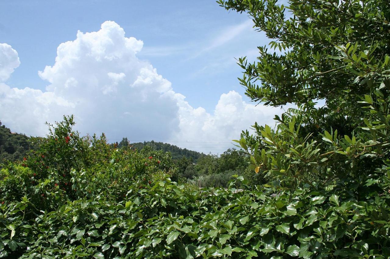 Apartments With A Parking Space Zuljana, Peljesac - 4574 מראה חיצוני תמונה